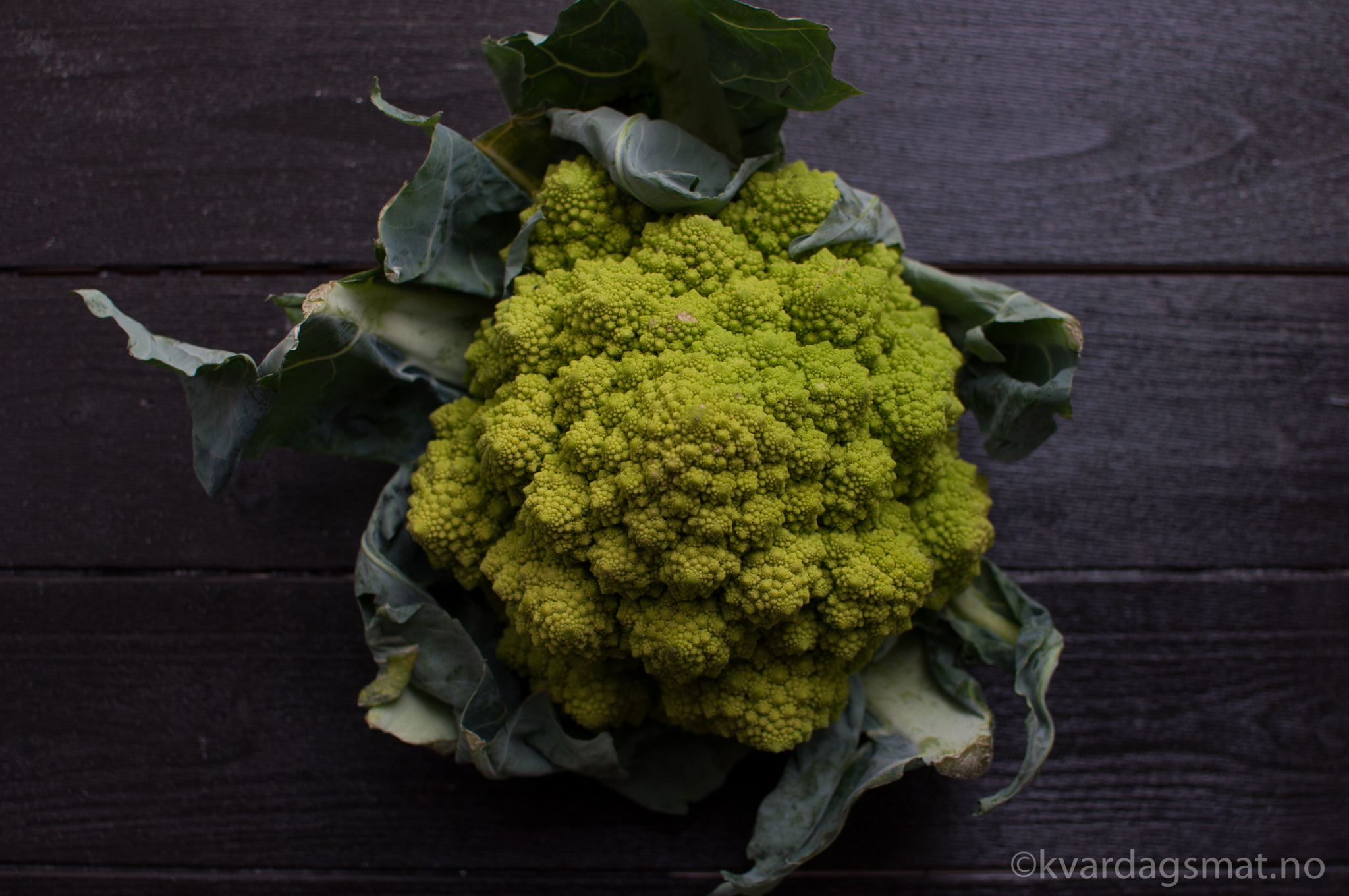 romanesco